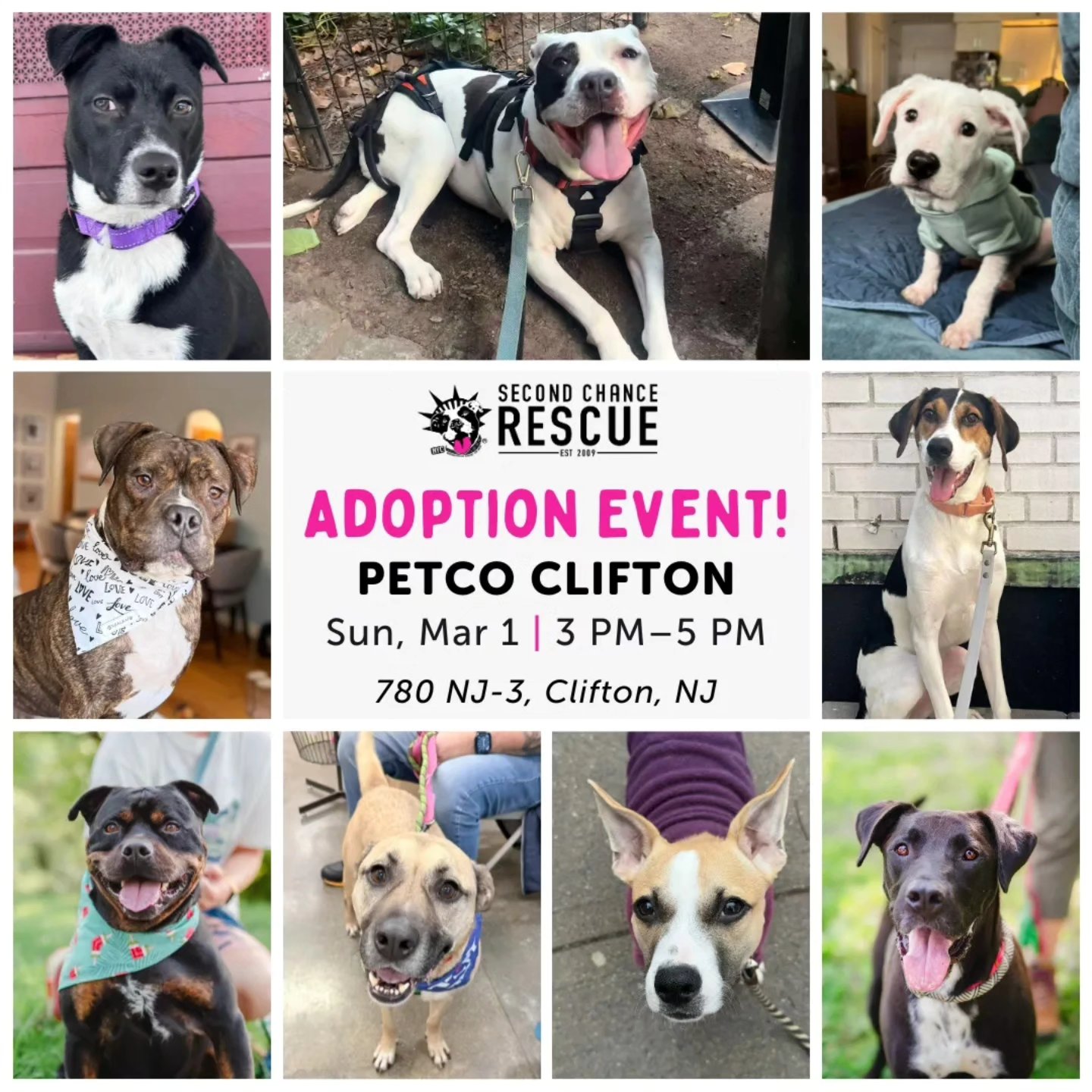 ️🐾 Our first ever New Jersey... - NYC Second Chance Rescue | Facebook