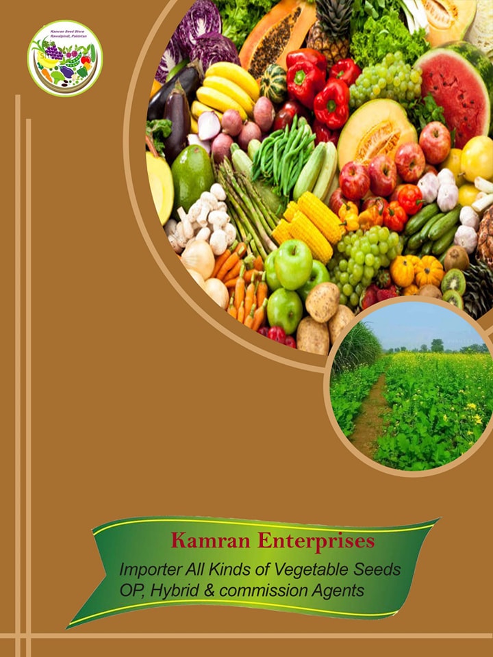 Kamran Enterprises Vegetable Seeds Importer | Rawalpindi
