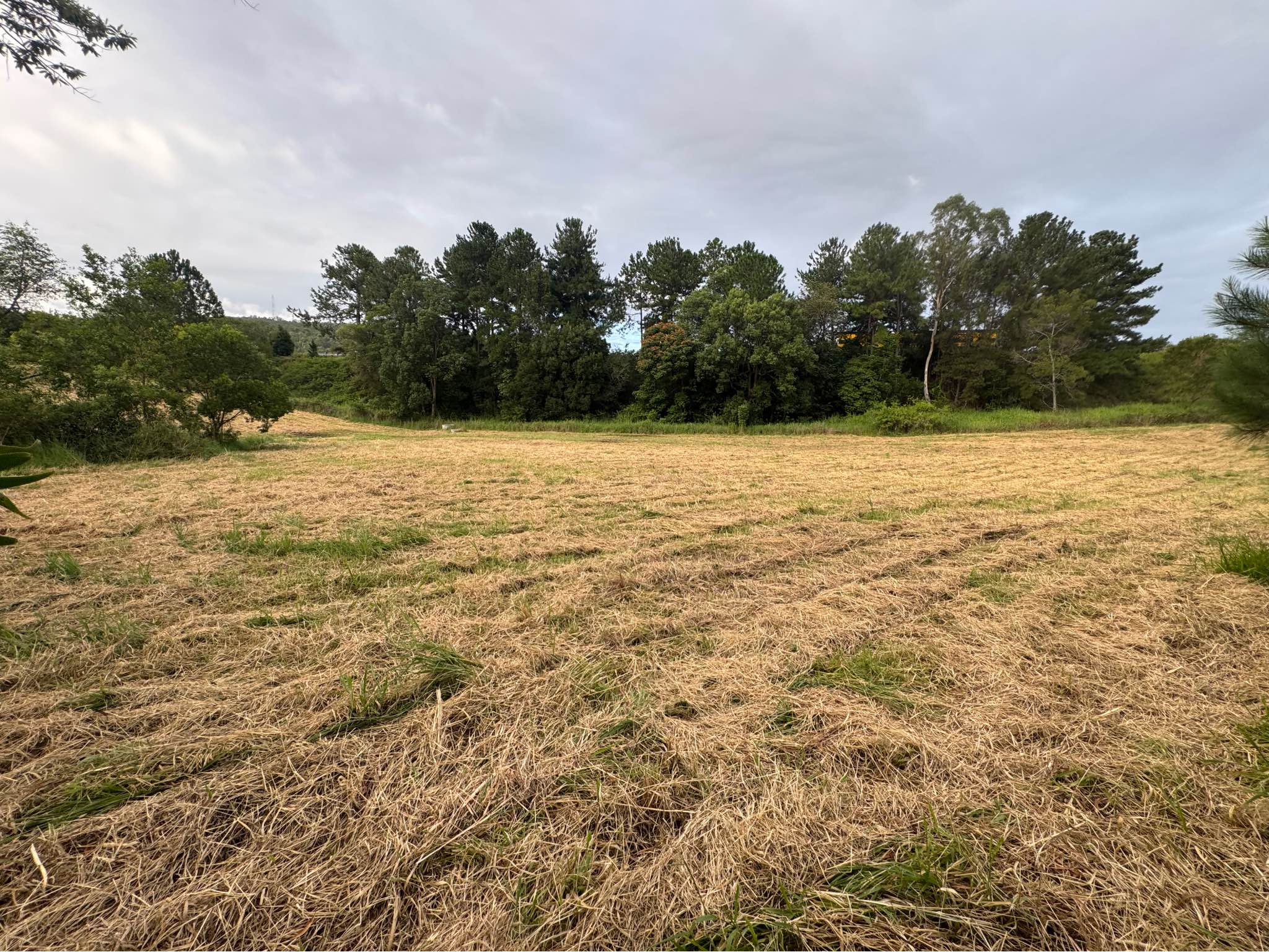 2500 sqm Land For Rent 750 Per Week Sunshine Coast - Property Rentals ...