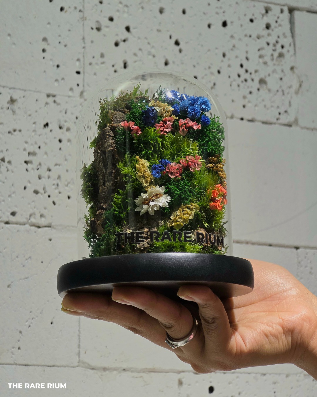 The Rare Rium - Plant &... - The Rare Rium - Plant & Moss Art