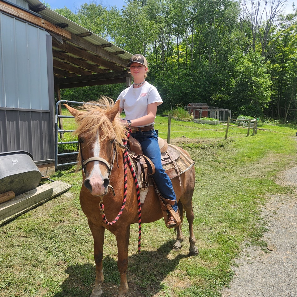 Buck Run Trail Rides | Mansfield PA