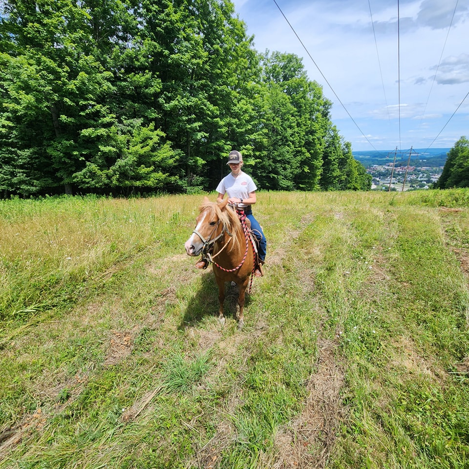Buck Run Trail Rides | Mansfield PA