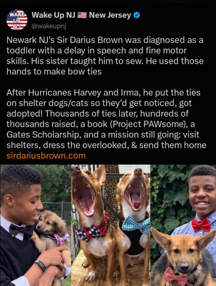 New Jersey's Sir Darius Brown makes bow ties for shelter animals