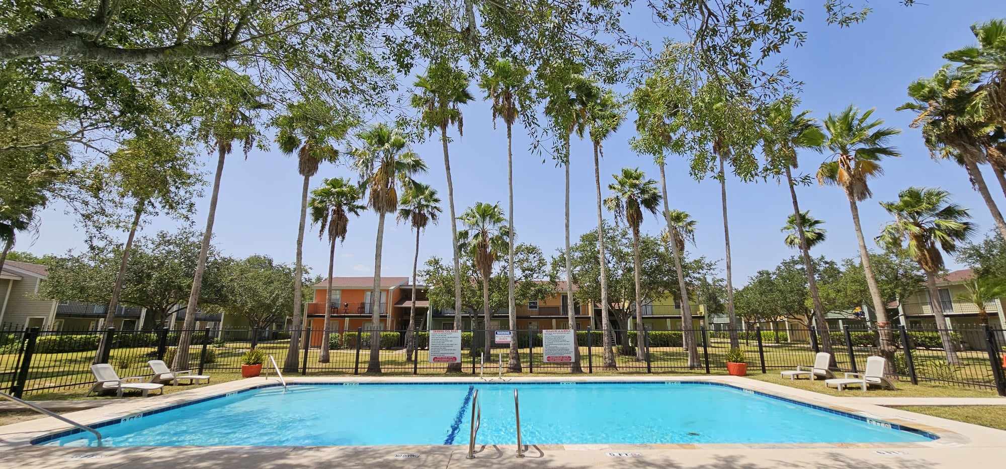 Paseo Pointe Apartment... - Paseo Pointe Apartment Homes
