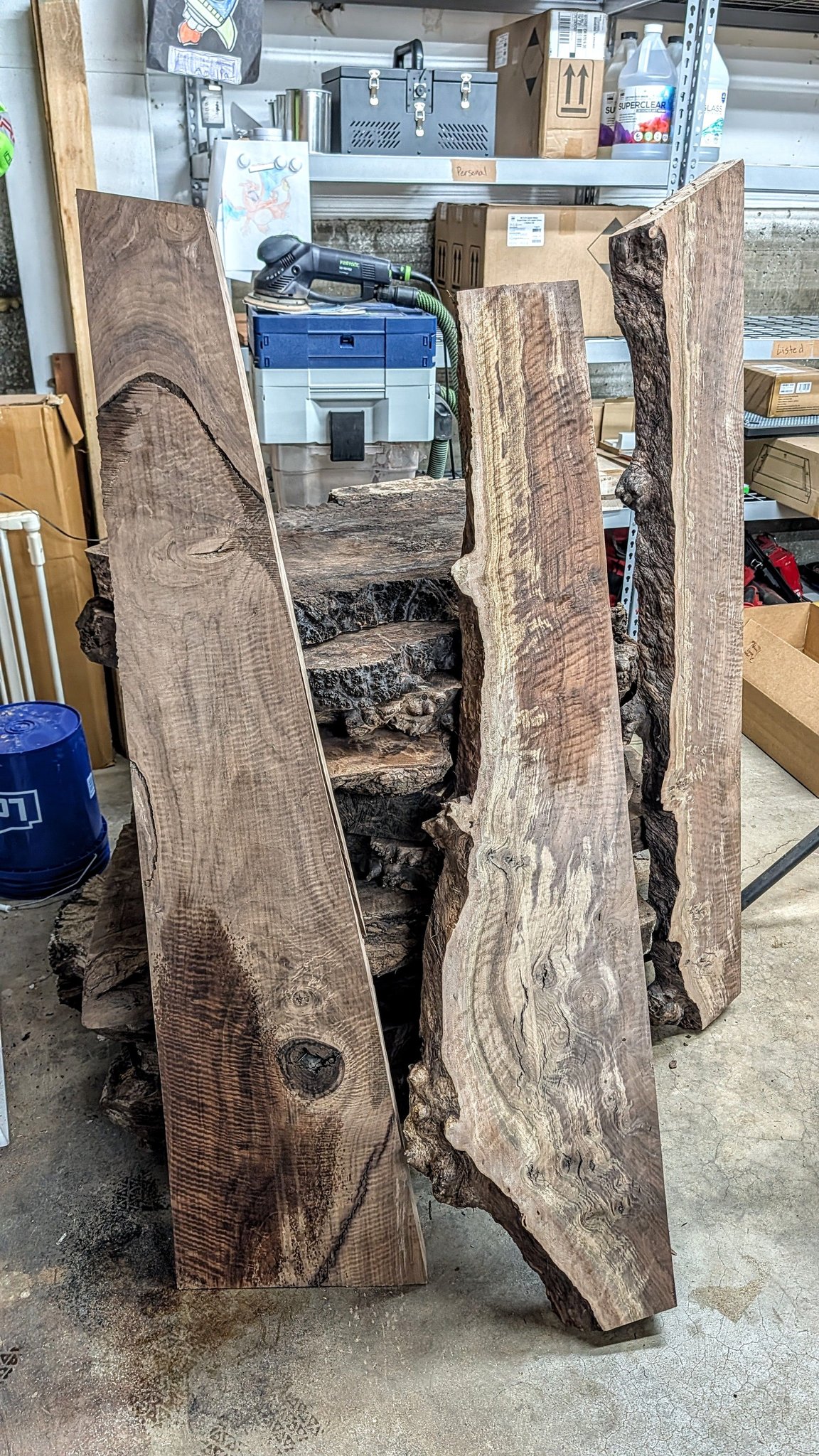 DeadwoodSawmill - The Curse Of The Claro strikes again! 😆 Figured claro ...
