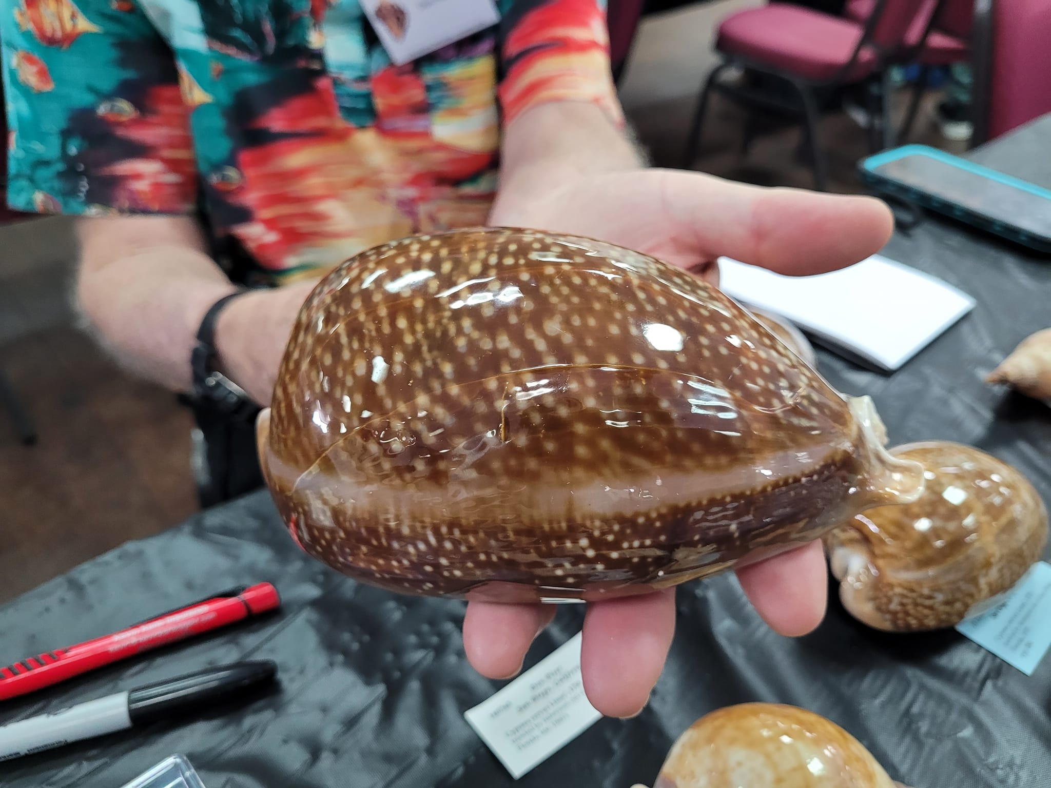 WA Shell Club Inc.