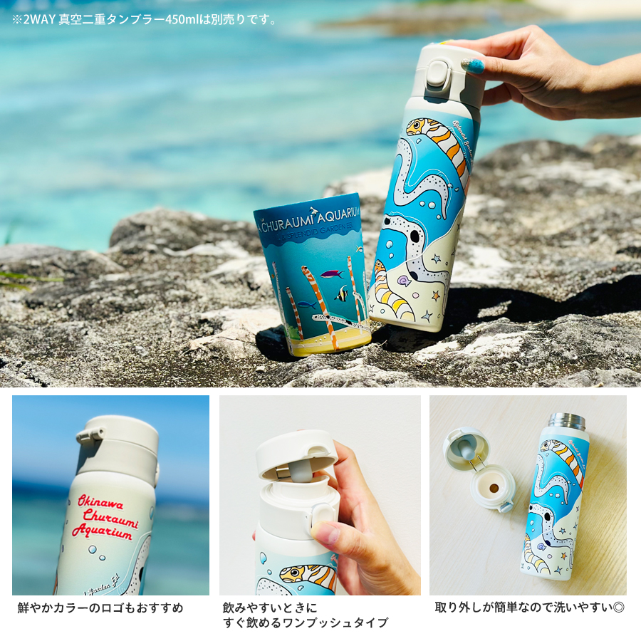 ✨沖縄美ら海水族館 飼育員監修✨ アナゴデザインのオリジナルグッズ新
