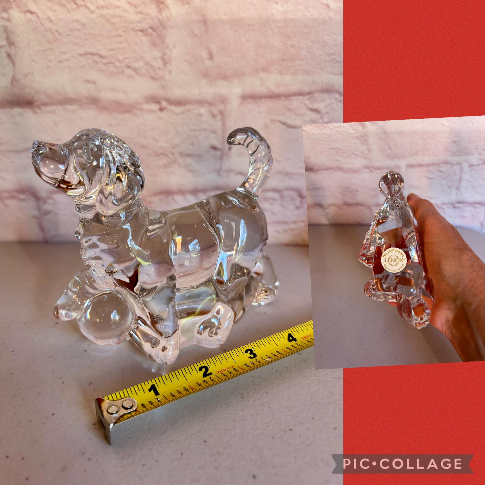 Helping Paws Animal Network Resales for Rescue! | Starting bid: $15 ...