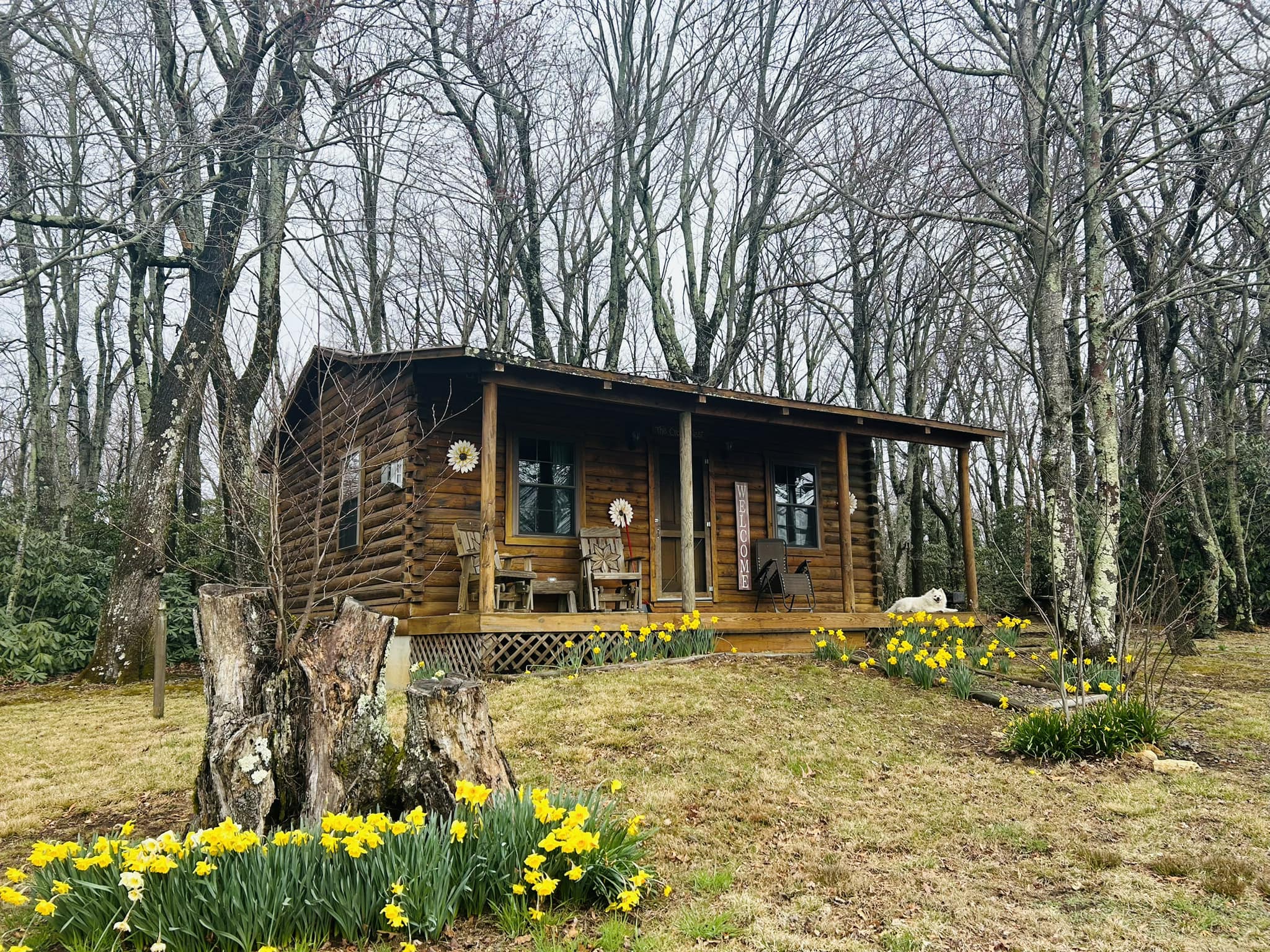 Poor Farmer's Cabin Rentals