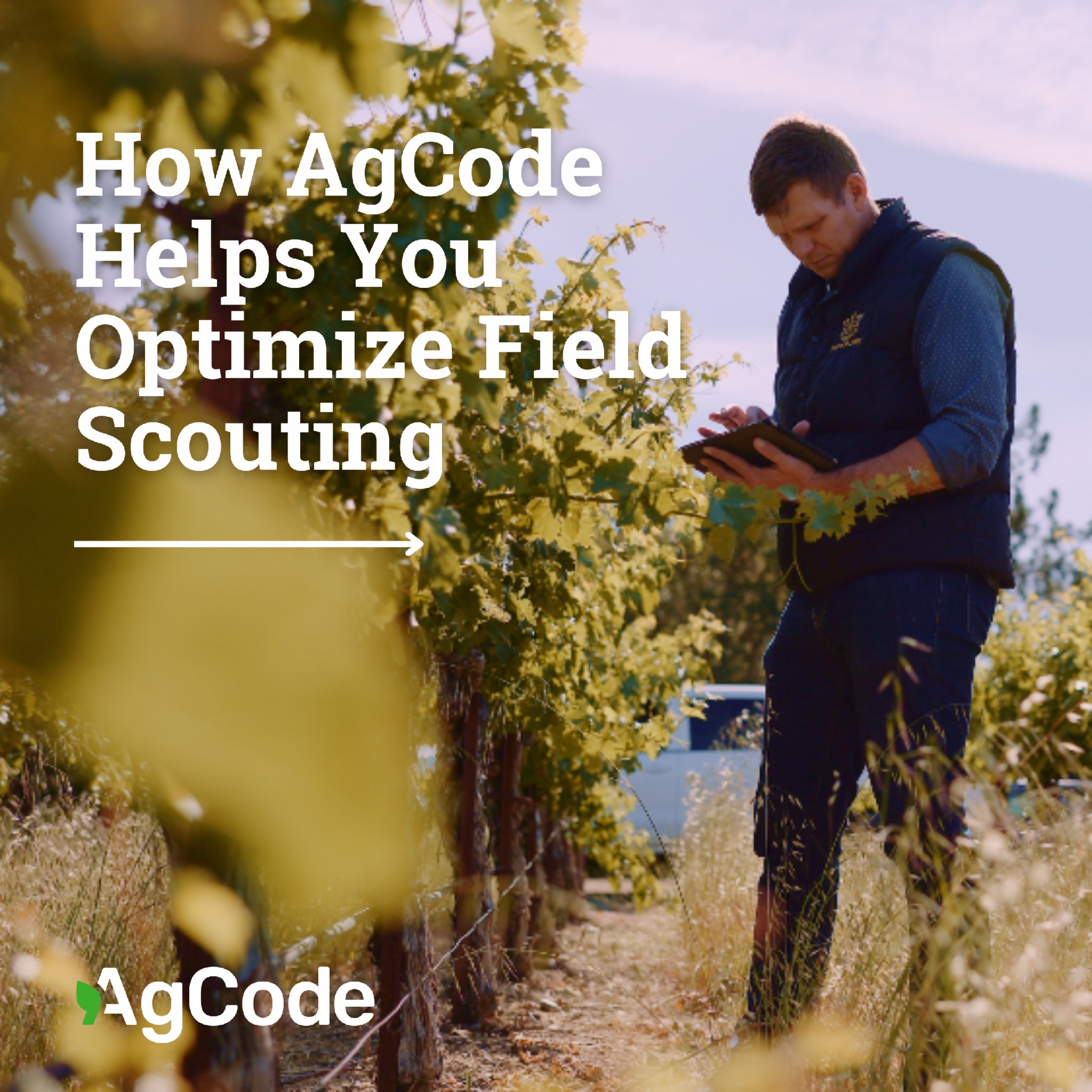 AgCode - Field scouting made easy with AgCode! From pest... | Facebook