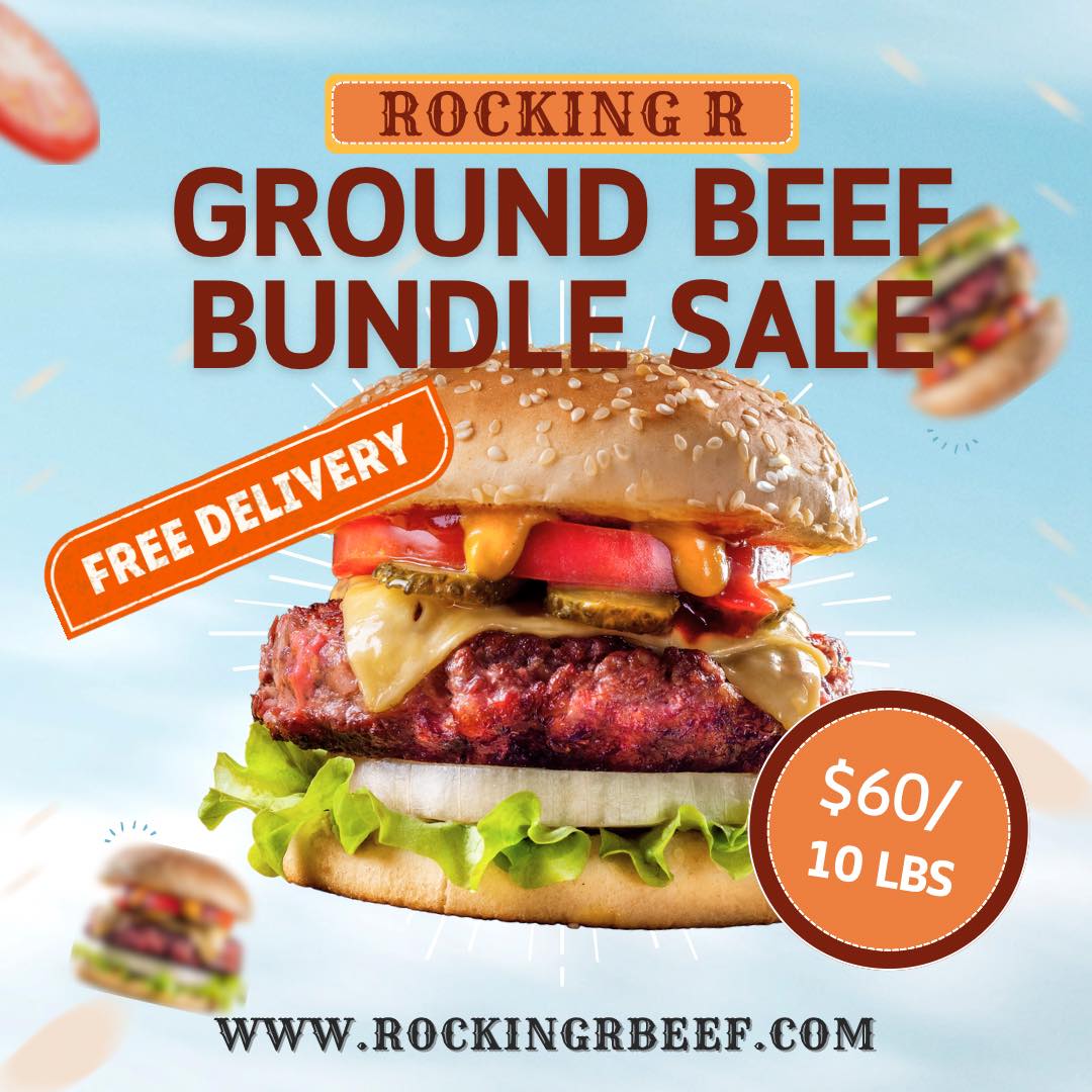 Rocking R Ranch: Red Angus and Beef | Bayard NE