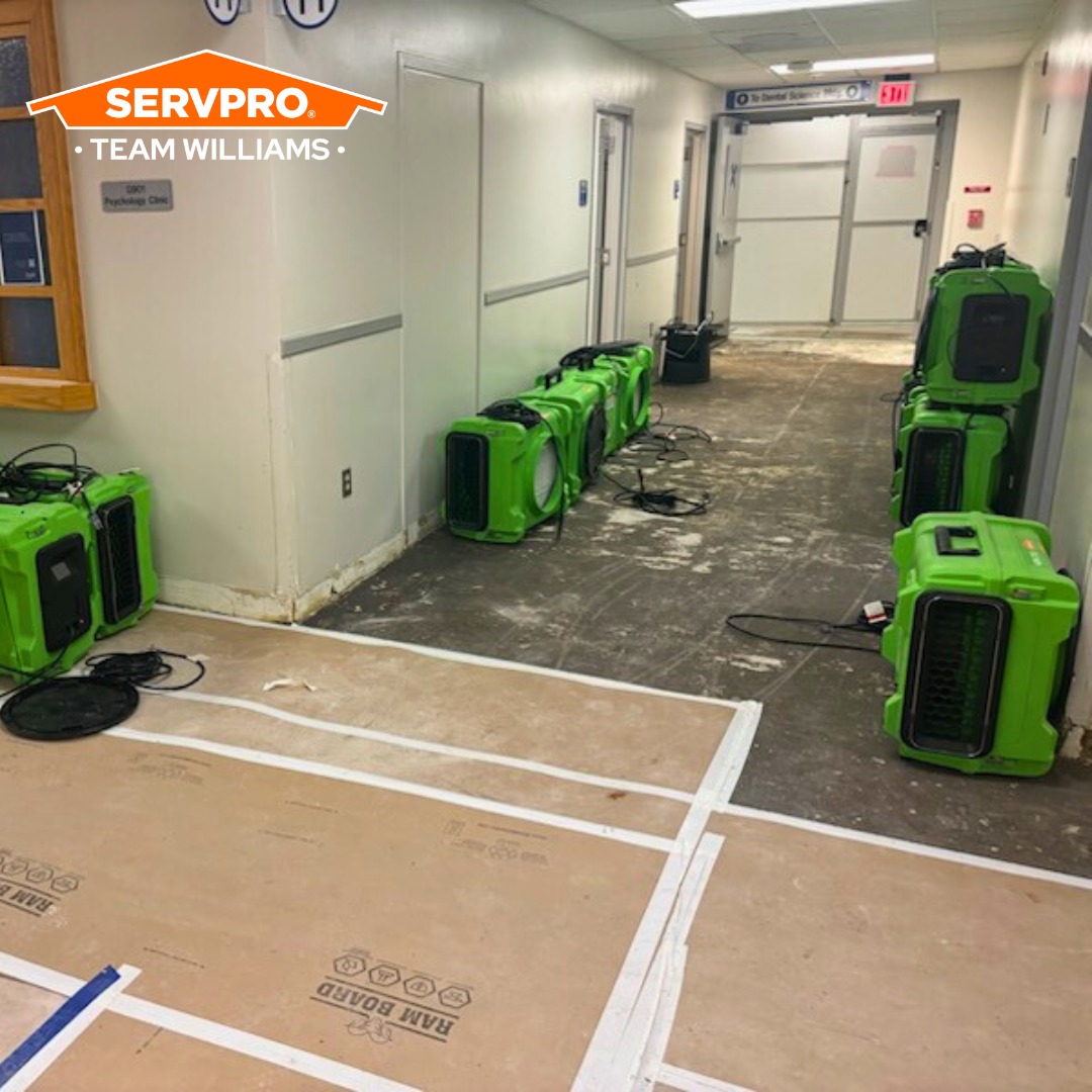 Servpro - Leaks behind walls often go unnoticed — until mold appears ...