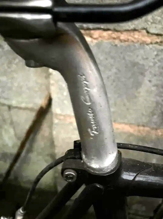 Does anyone know what this bike model is? I assume it is