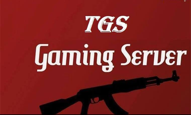 TGS Gaming Server #1