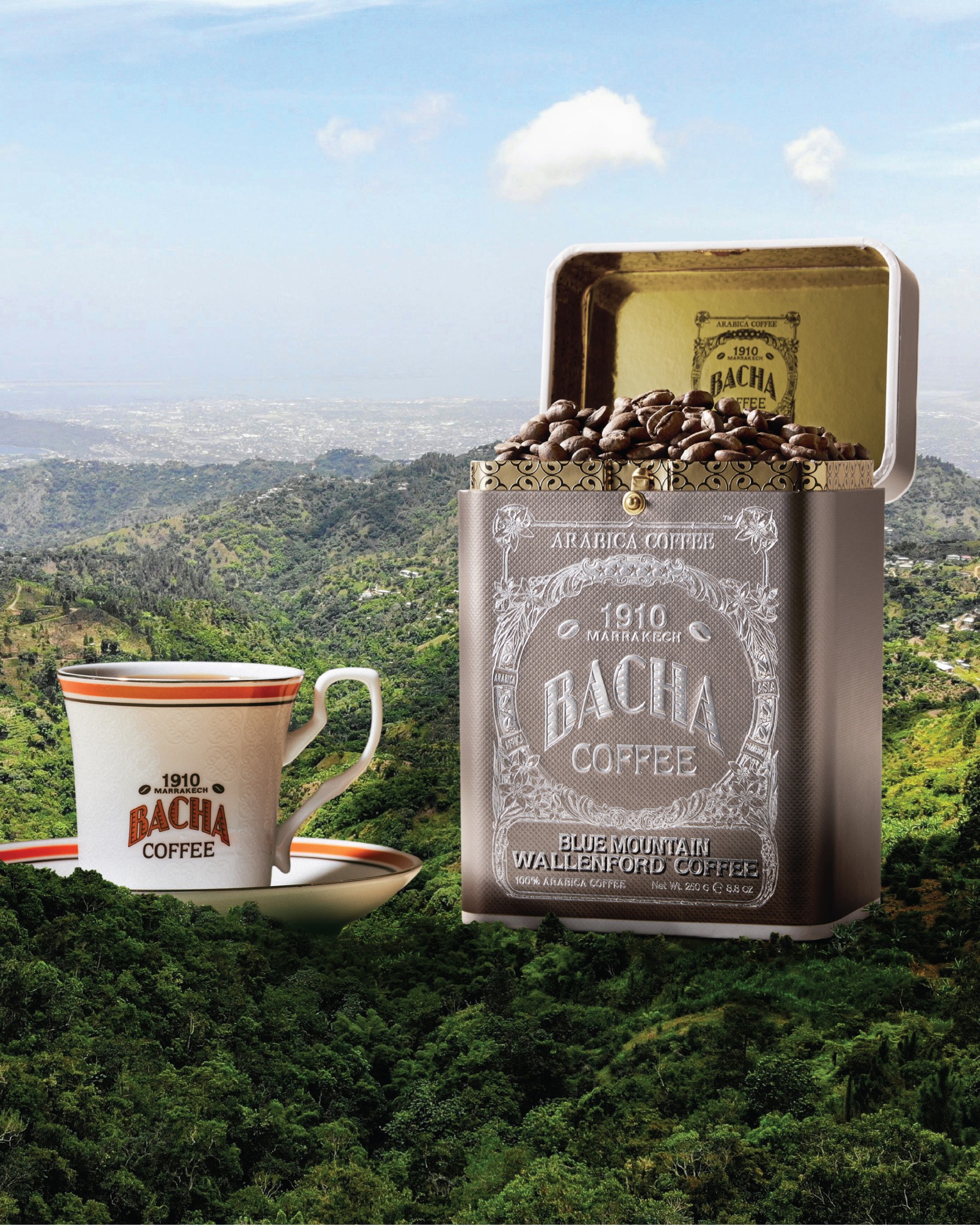 Travel through your coffee cup with our Explorer Coffee Bag Taster
