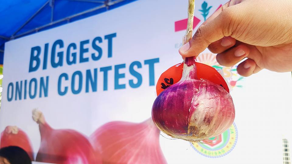 Ang Red Pinoy onion ng isang... - East-West Seed Philippines | Facebook