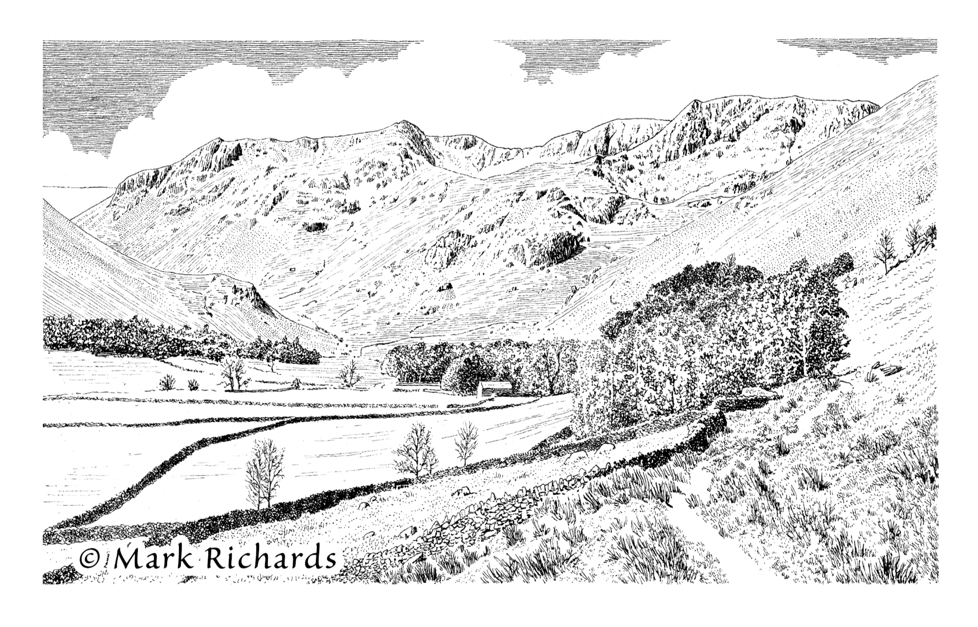 mark-richards