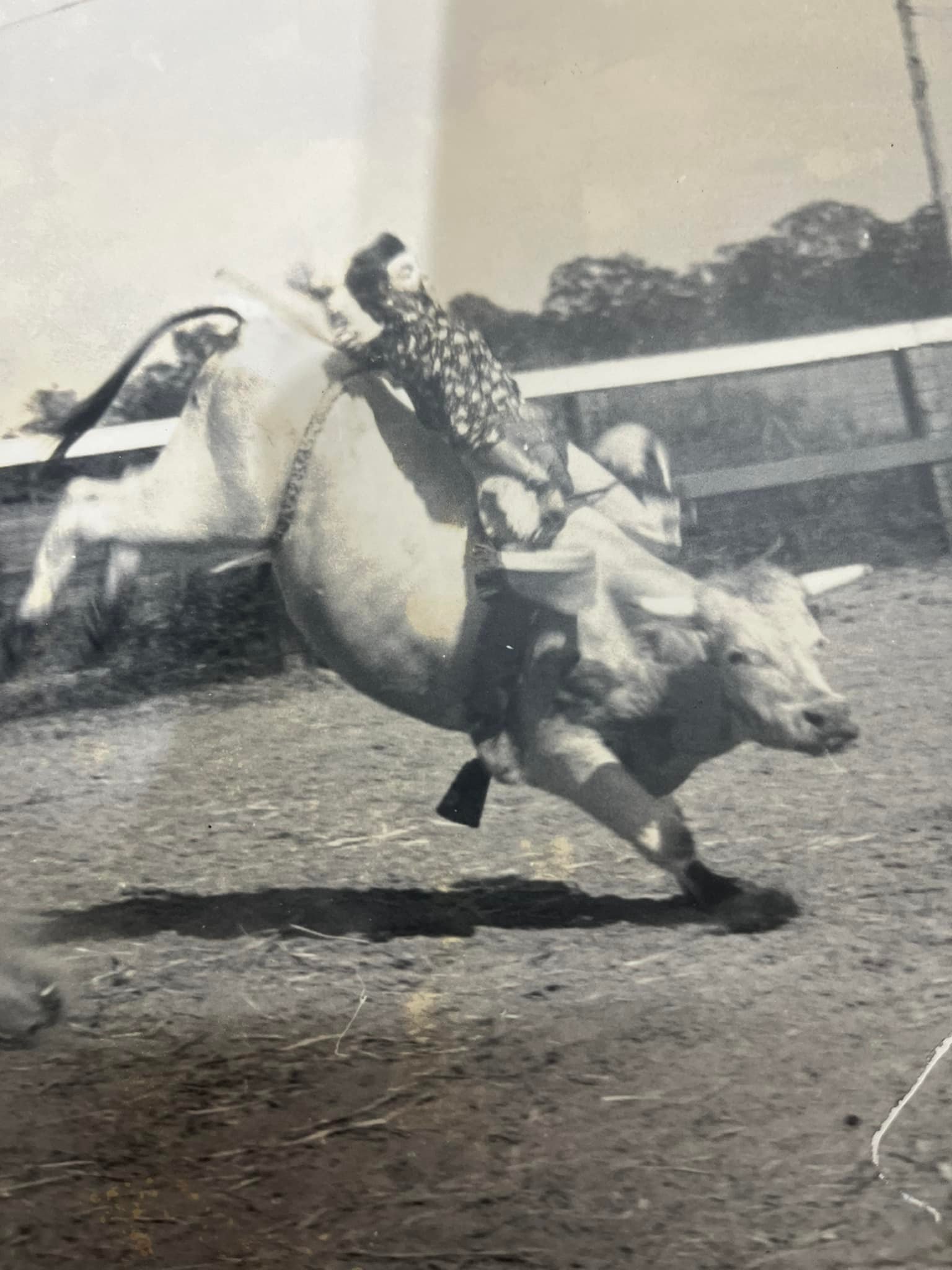 Old Bull riding and Rodeo stories | A late 70s Sunday afternoon in ...
