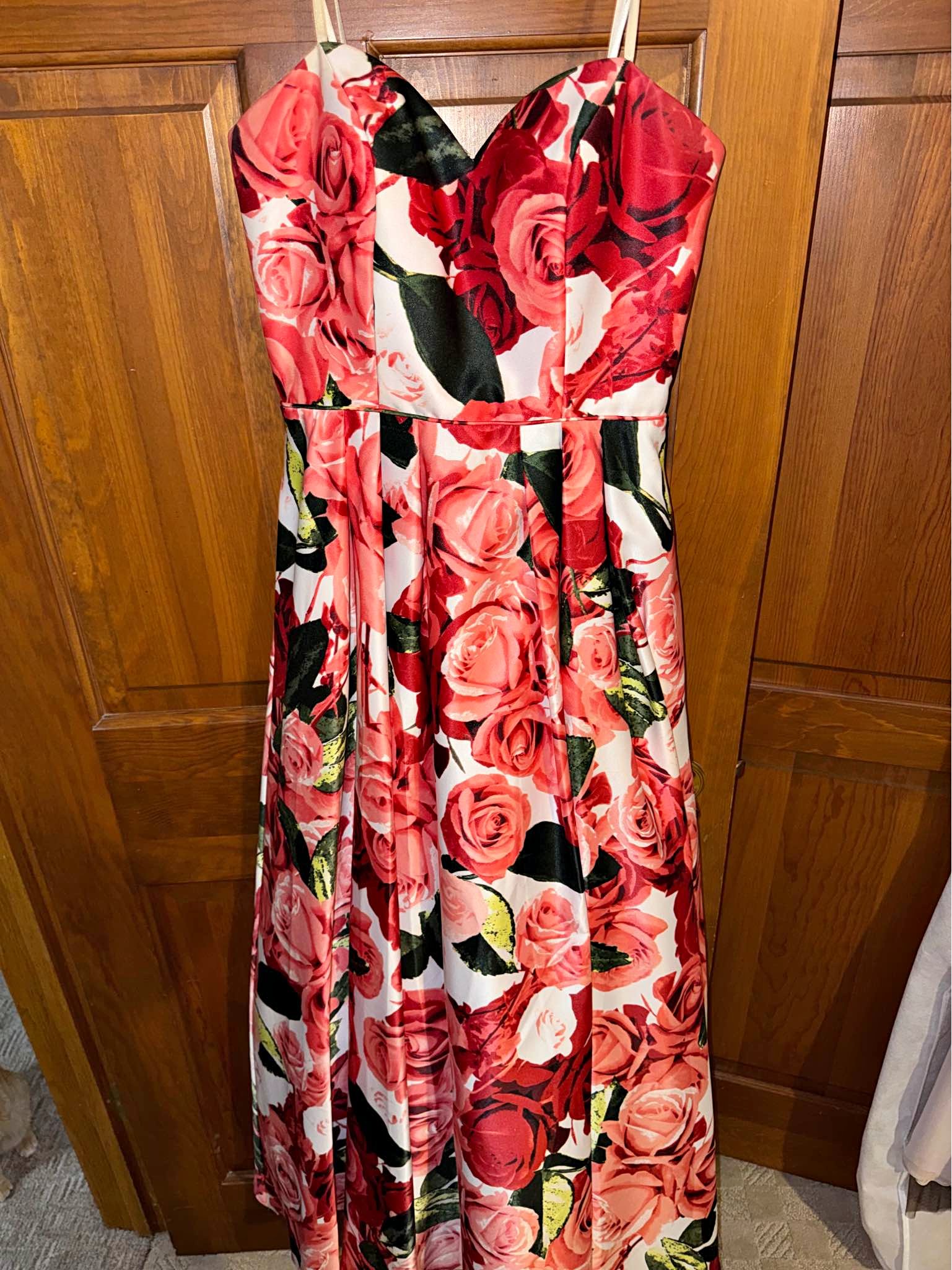 Prom Dresses for sale in Sturgeon Bay, Wisconsin