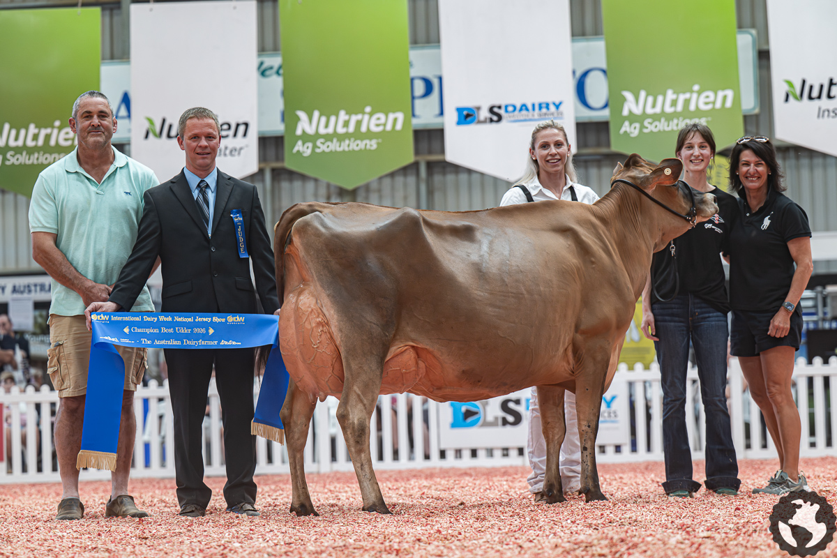 Select - Howacres C Vintage-ET, Farmstead Genetics. She's a September ...