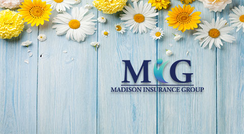 Madison Insurance Group-Maryville | Maryville TN