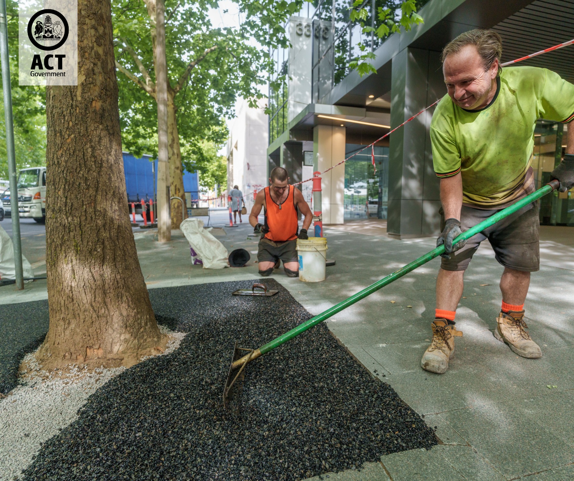 ACT - Some trees in Civic are getting the VIP tree-tment! 🌳 The Urban ...