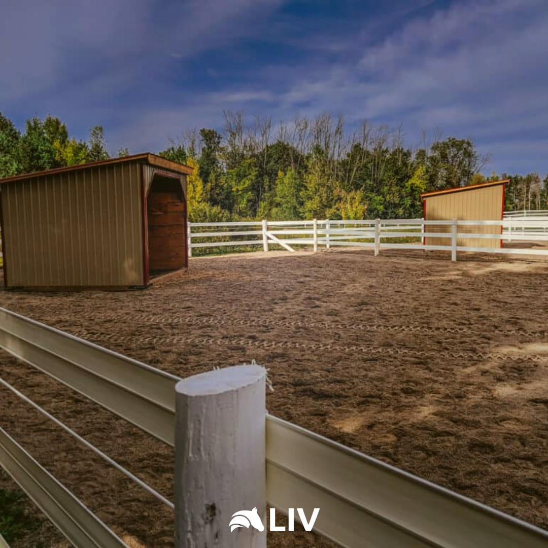 LIV - LIV Stables' outdoor boarding goes above and beyond to keep your ...