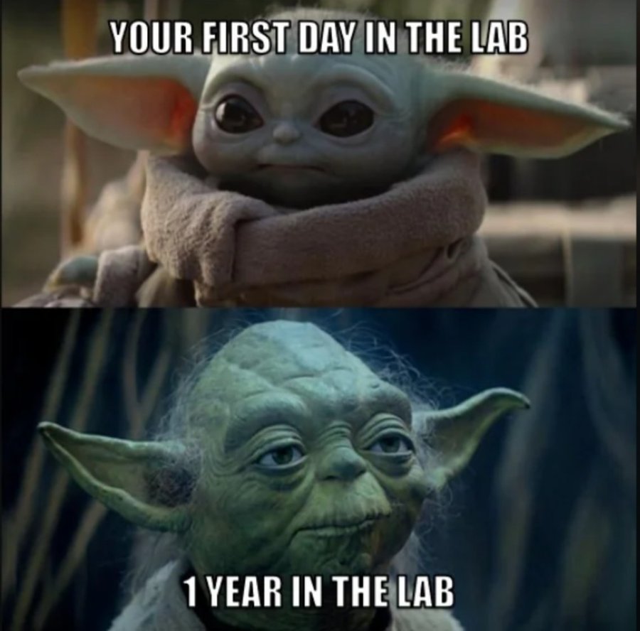 Institute - 🌟💫 #BiomedicalScienceDay2023's meme competition winner was ...