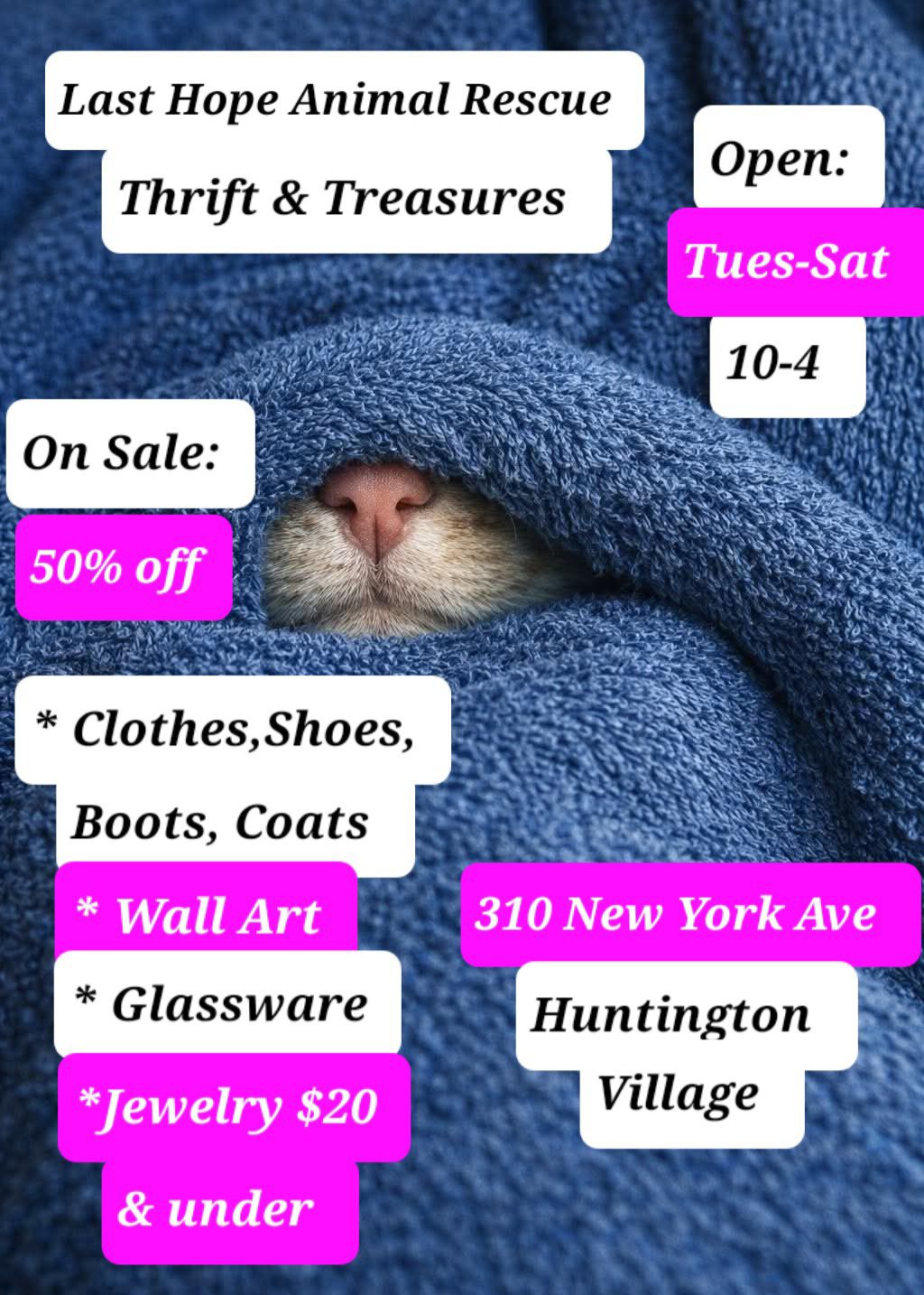Last Hope Animal Rescue Thrift & Treasures