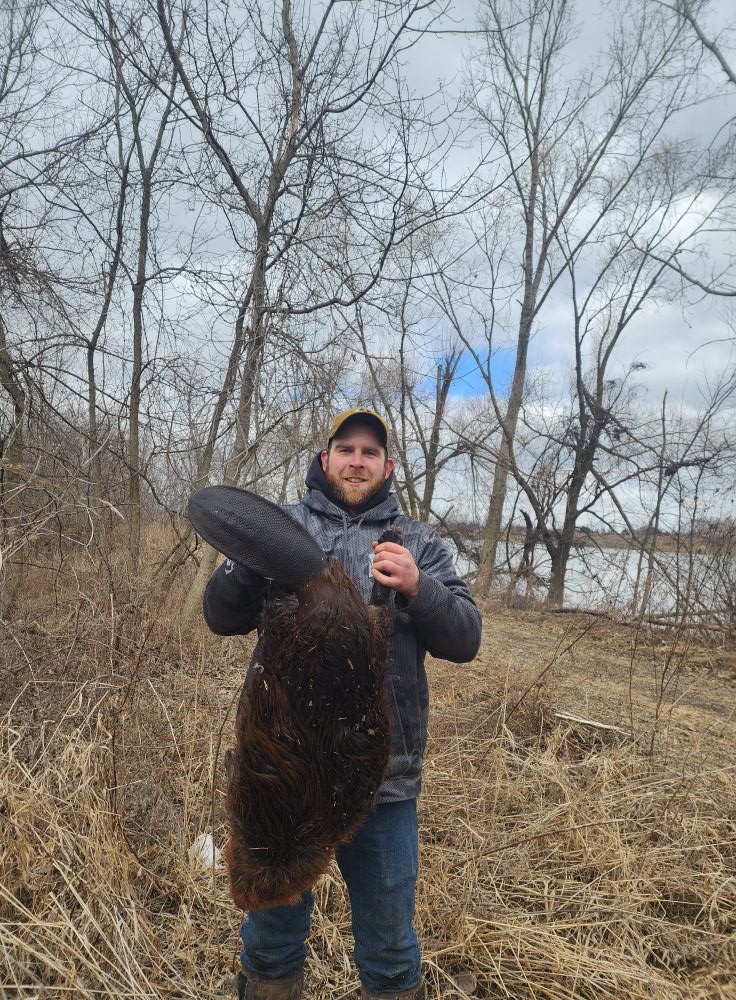 Did you catch the super beaver!?