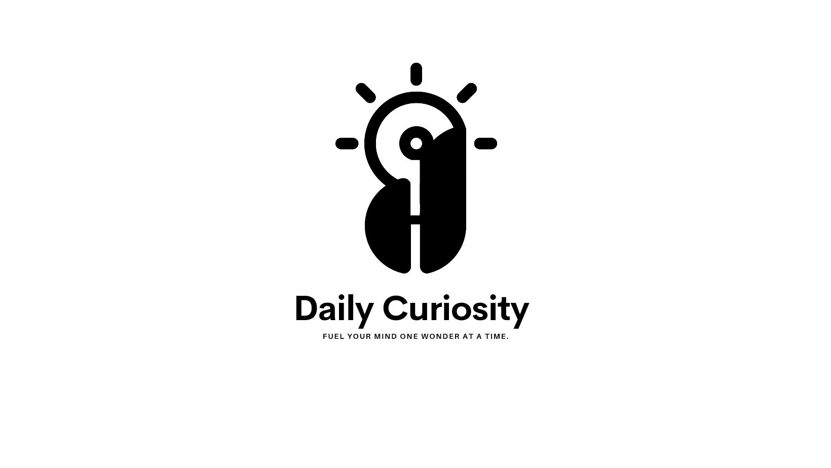 Daily Curiosity