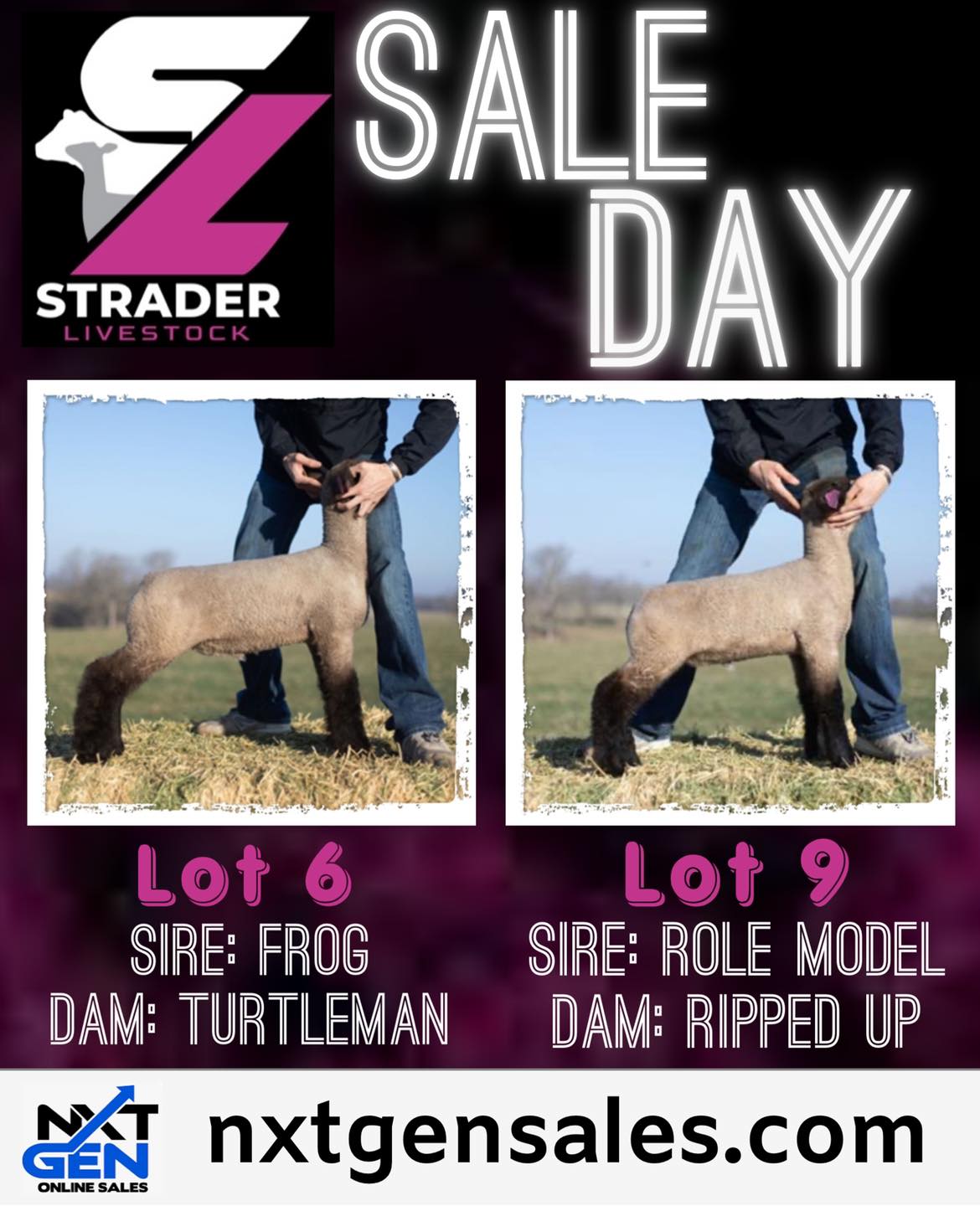 Strader Livestock