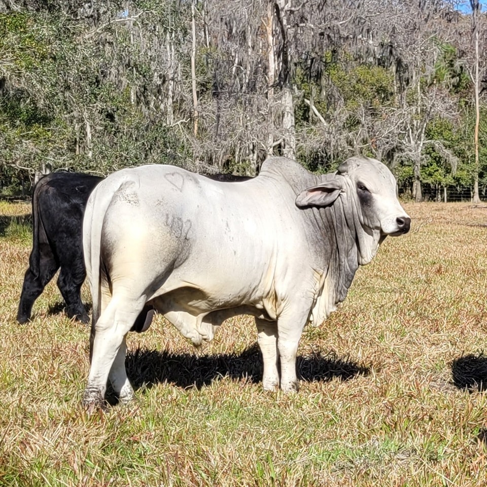 Doc Partin Ranch