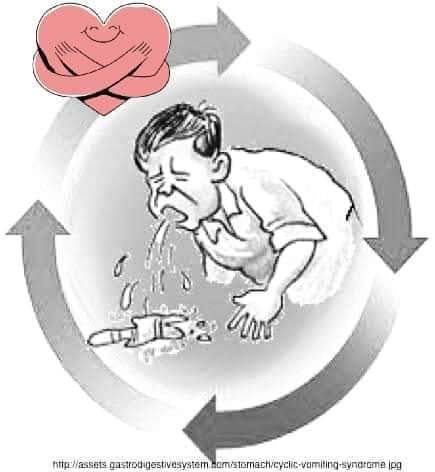l carnitine for cyclic vomiting syndrome L-Carnitine Liquid 3000 main image 0
