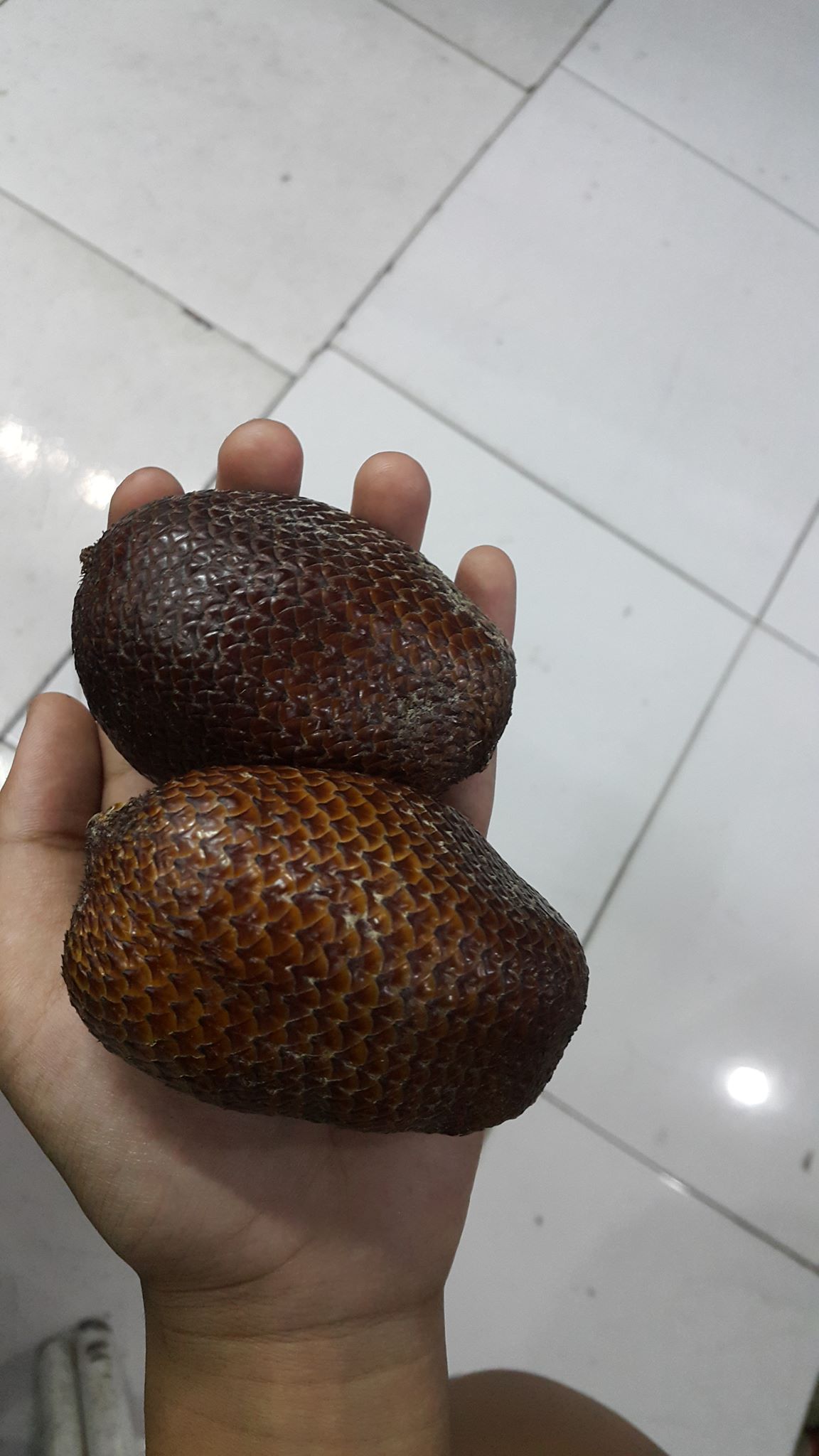 สละลูกใหญ่ไซส์จัมโบ้คัดพิเศษ มาแล้วครับ !! อร่อยแบบหนําใจ หวาน กรอบ ลูก ...