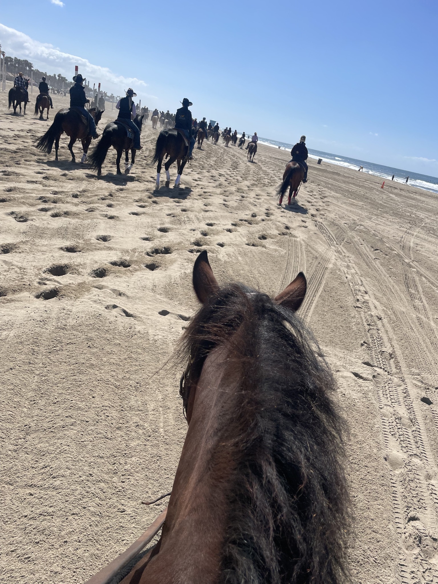 Huntington Central Park Equestrian Center | Huntington Beach CA