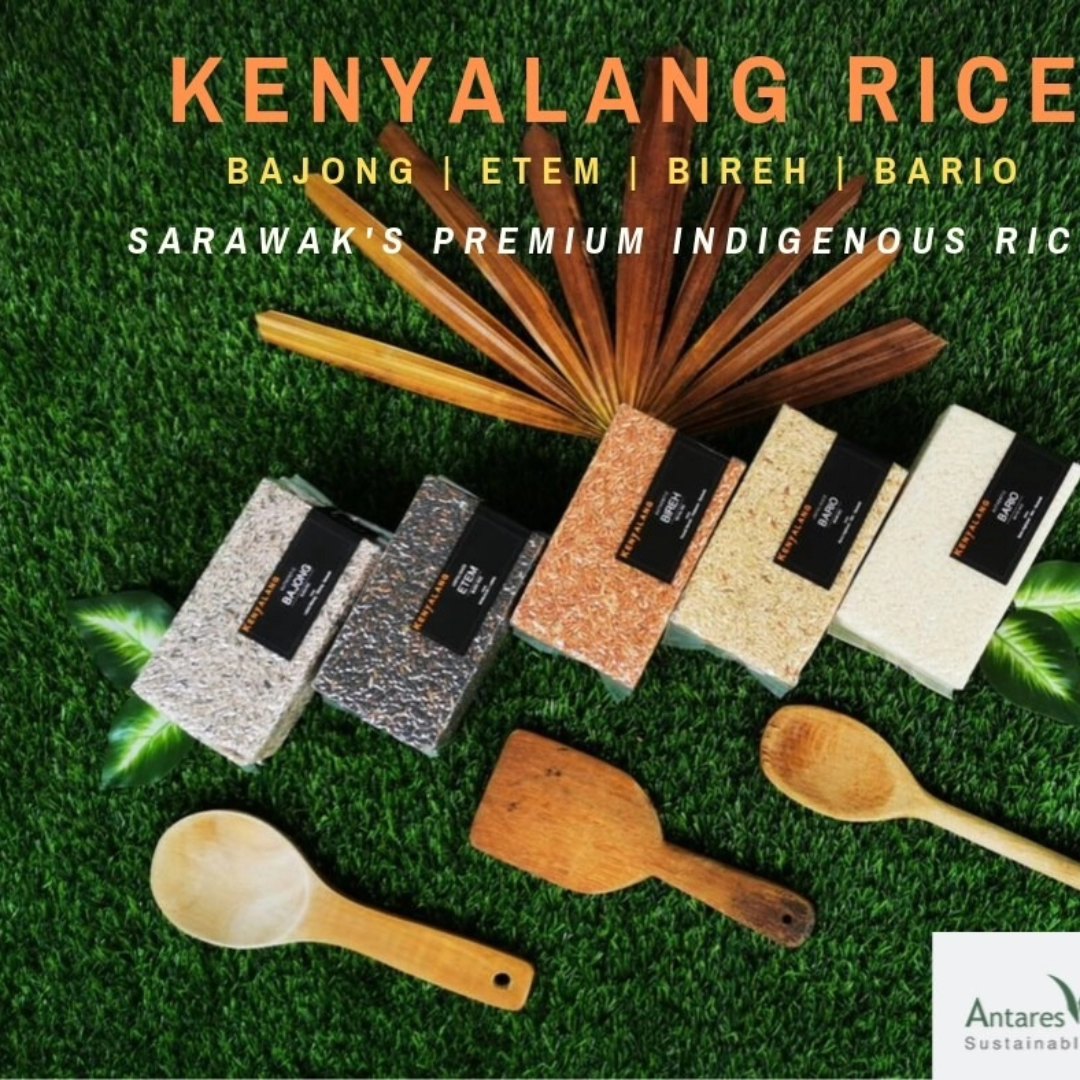 Rice & Shine by FarLee Pte Ltd | Woodlands Singapore