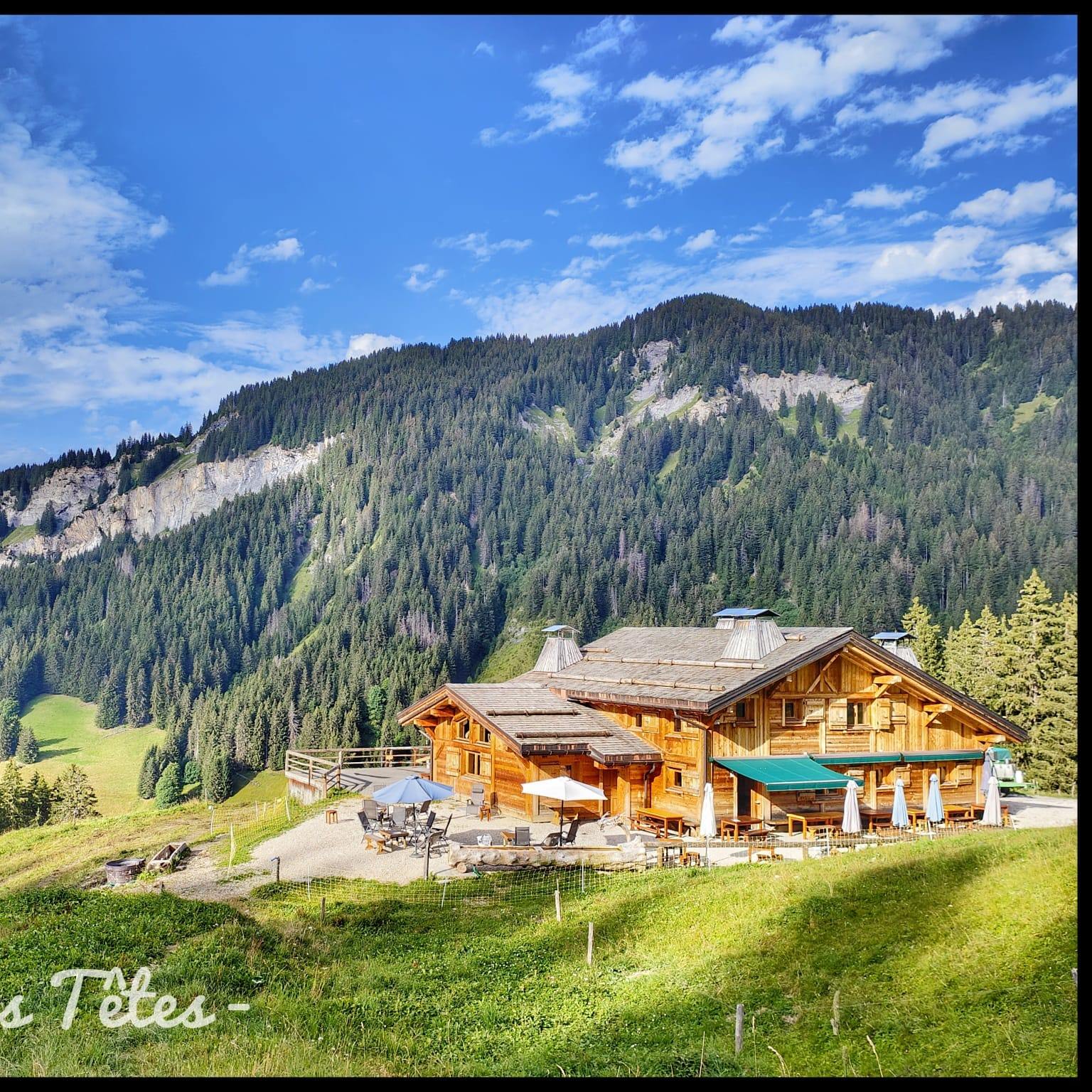 Cette fois c’est la fin de la saison en Alpage ! ⛰️ On est montés ...
