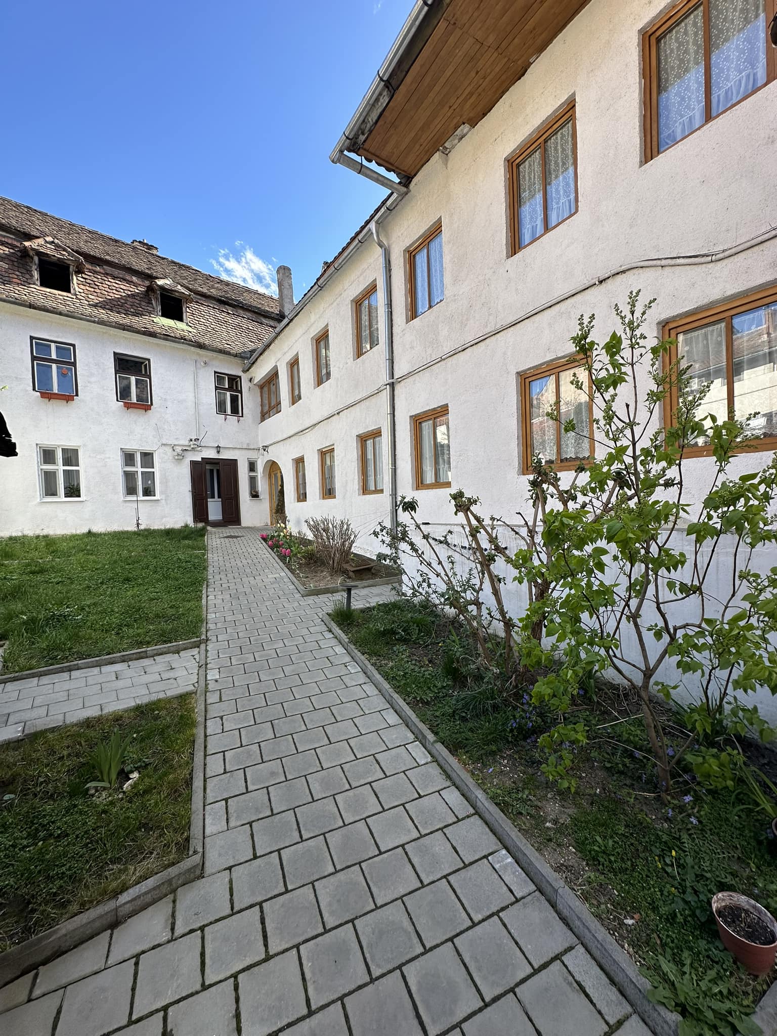 Treehugger... - Treehugger apartments Oldtown Sibiu