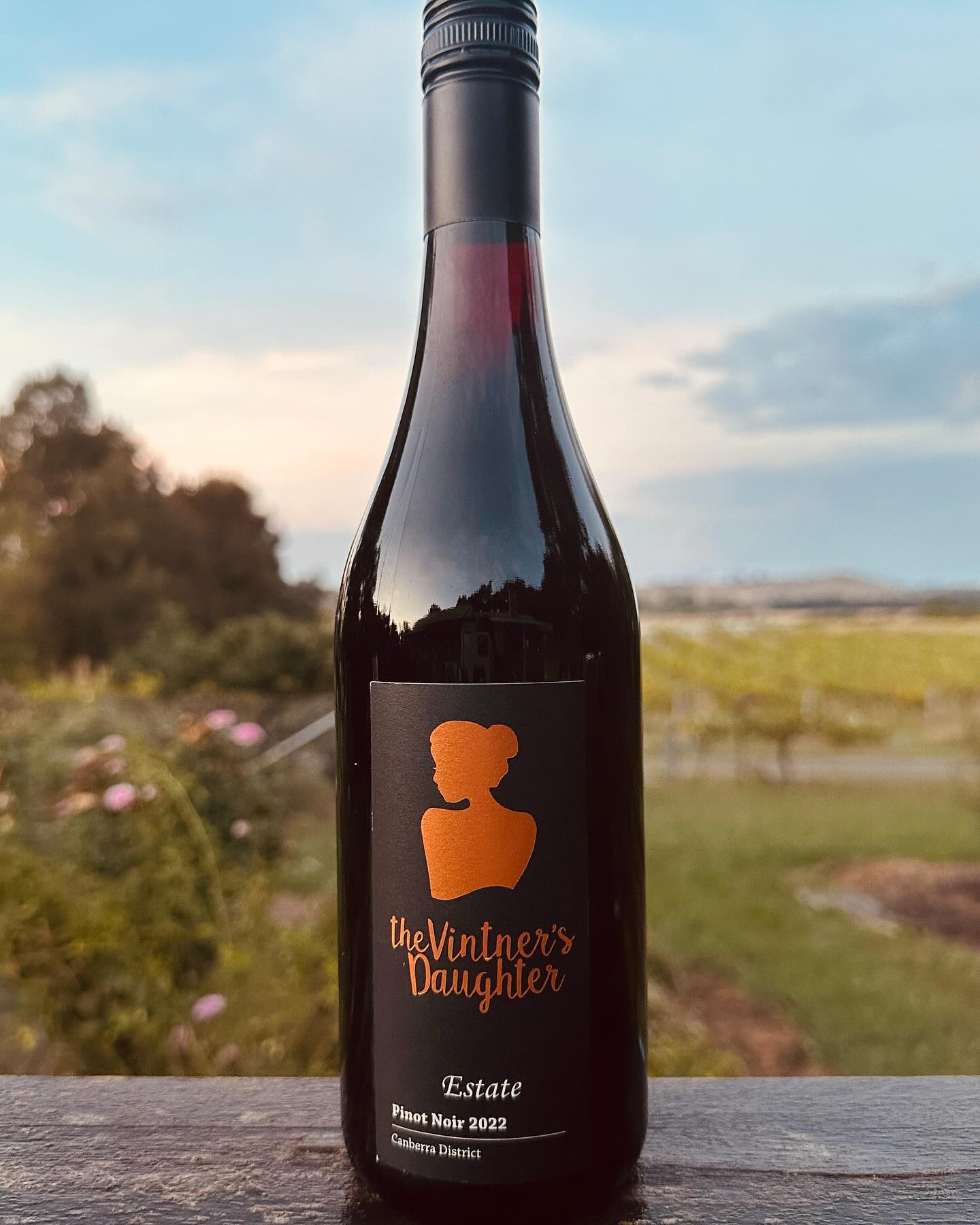 Kistler Pinot Noir Cuvée Natalie “Silver Belt Vineyard” 2022 🇺🇸 🍷