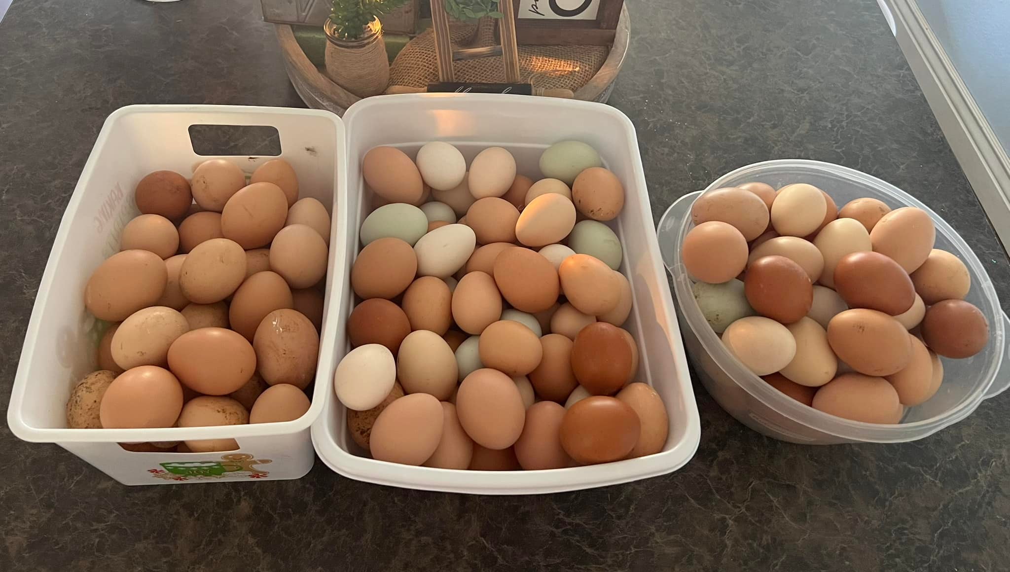 Yes, Egg Heaven is open again!
