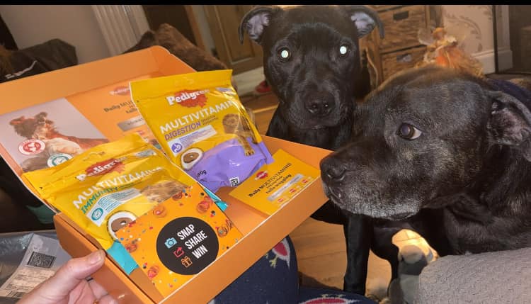 FREEBIES UK + FREE SAMPLES v3 | 2 happy dogs, first ever Triyit box # ...
