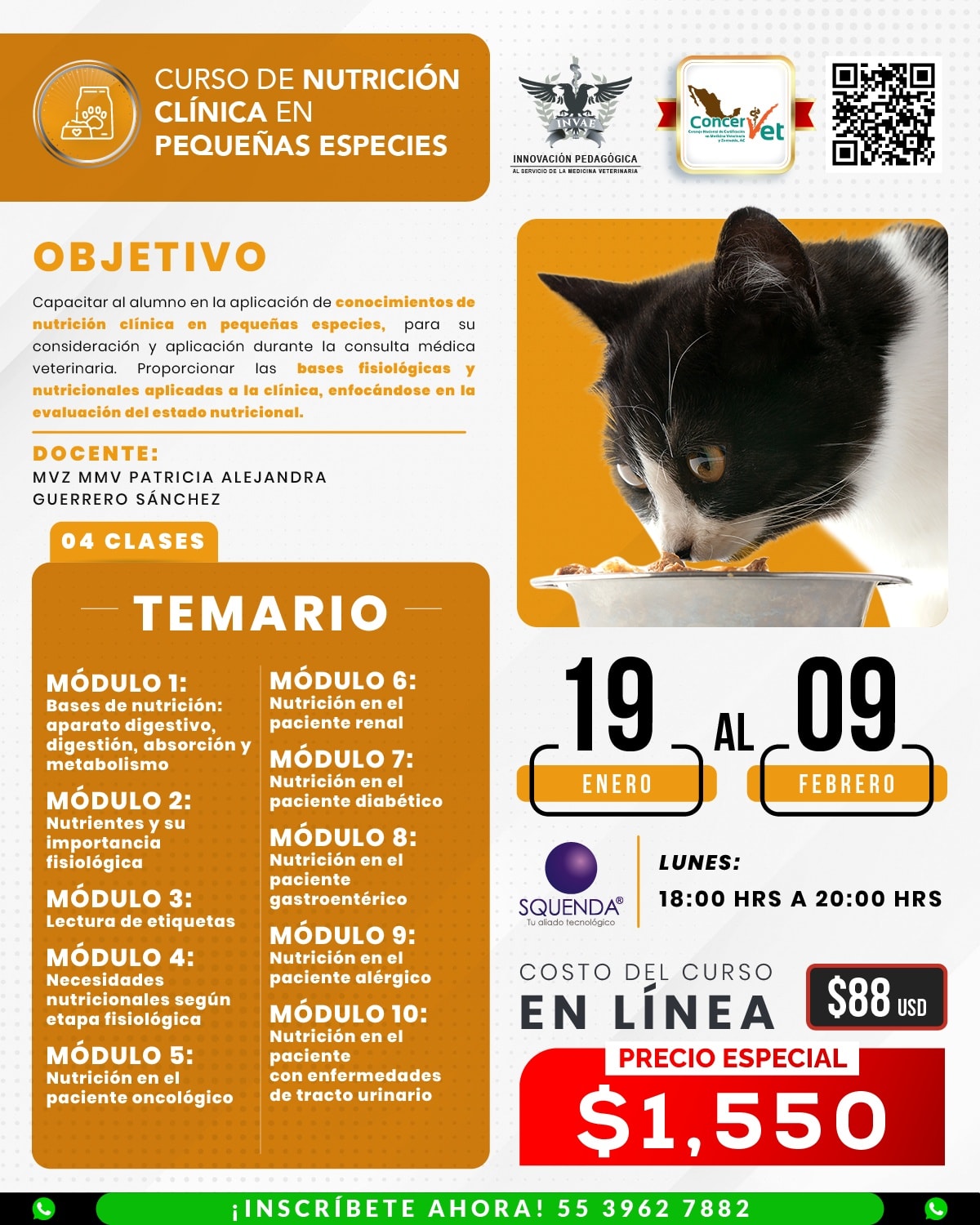 INVAE - La anatomía de los dientes de perros y gatos son parecidos a ...
