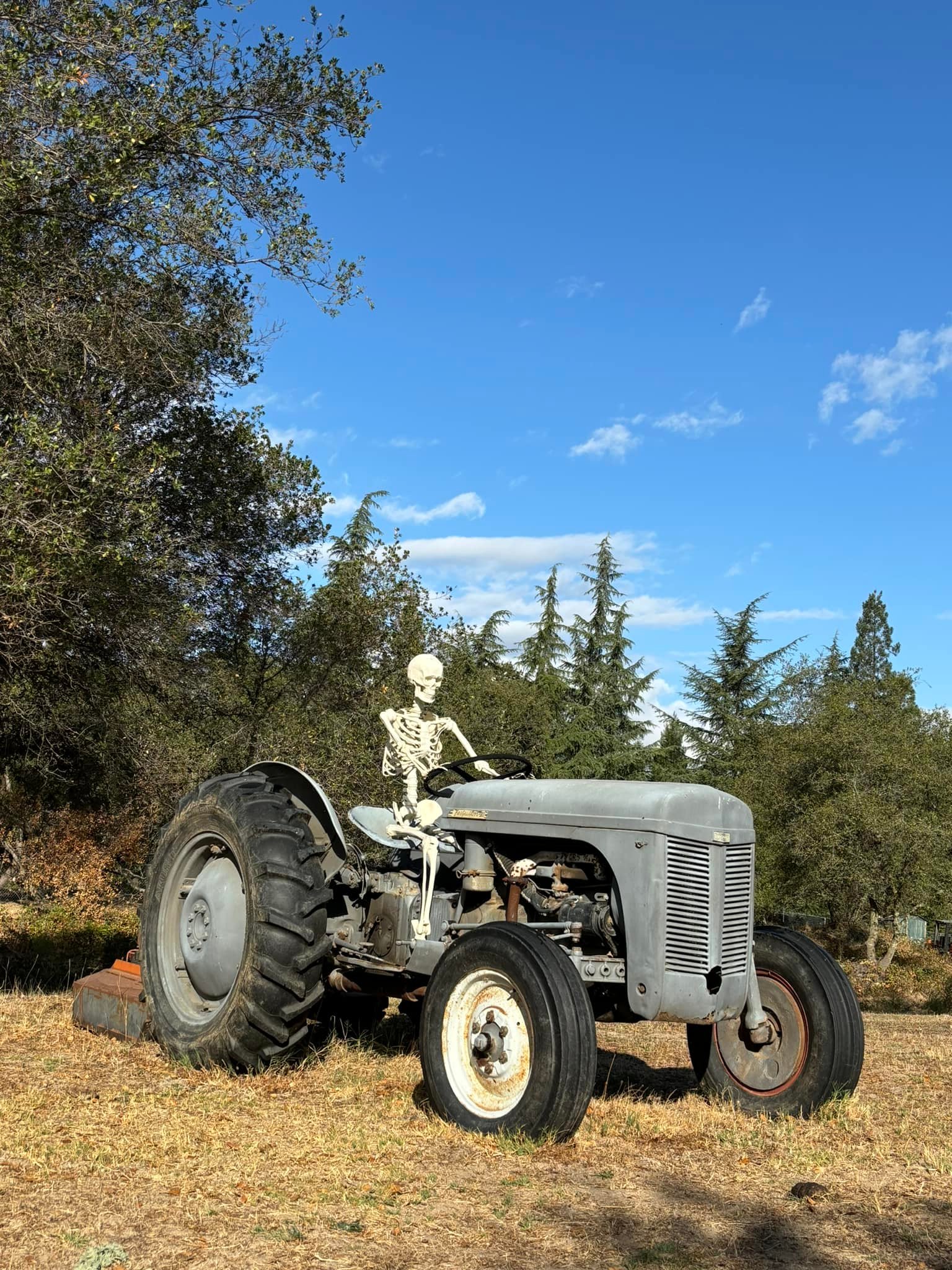 Rickey Ranch Pumpkin Patch | Granite Bay CA