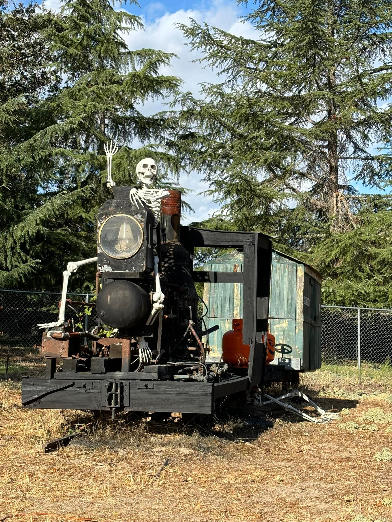 Rickey Ranch Pumpkin Patch | Granite Bay CA