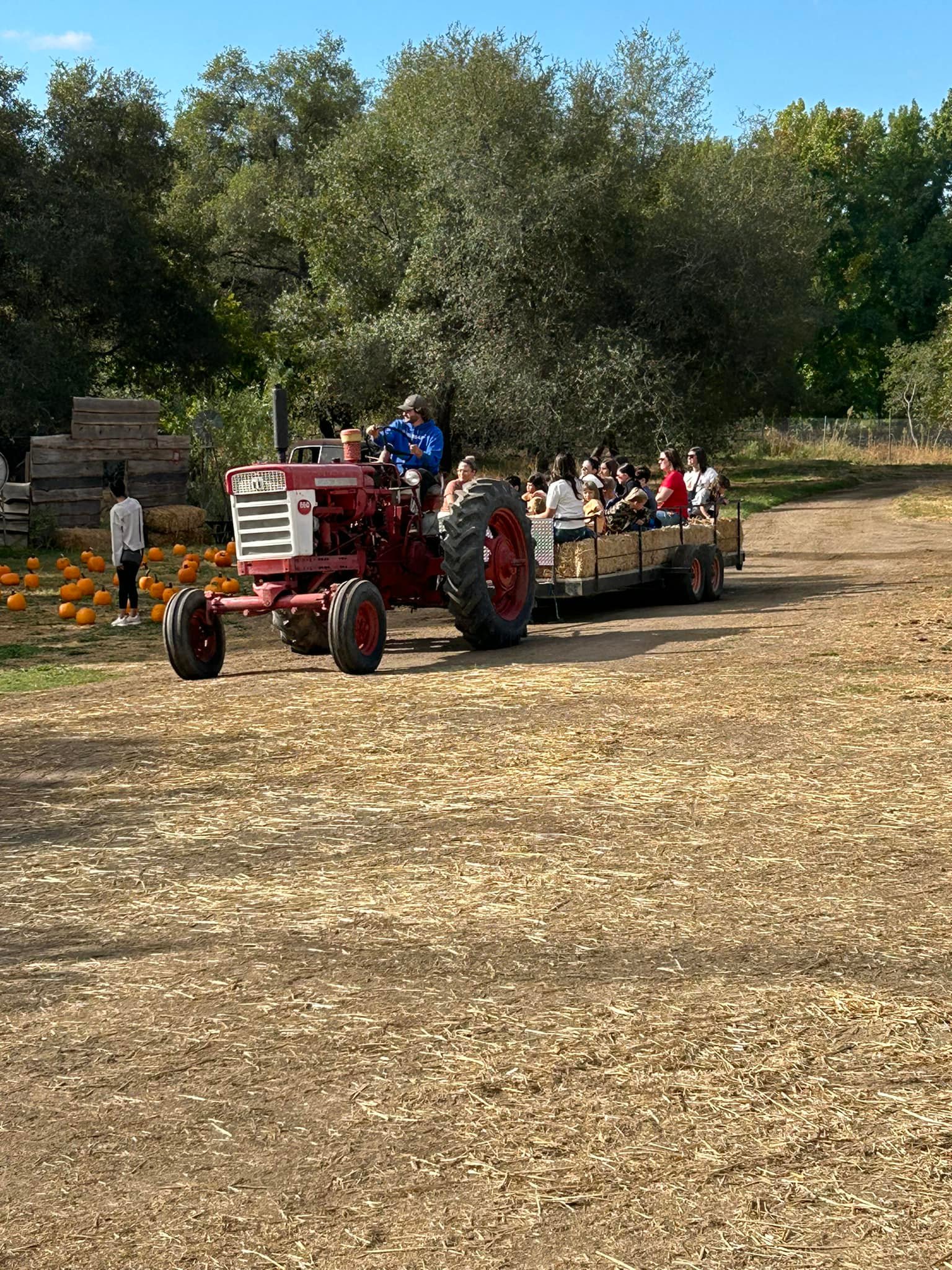 Rickey Ranch Pumpkin Patch | Granite Bay CA