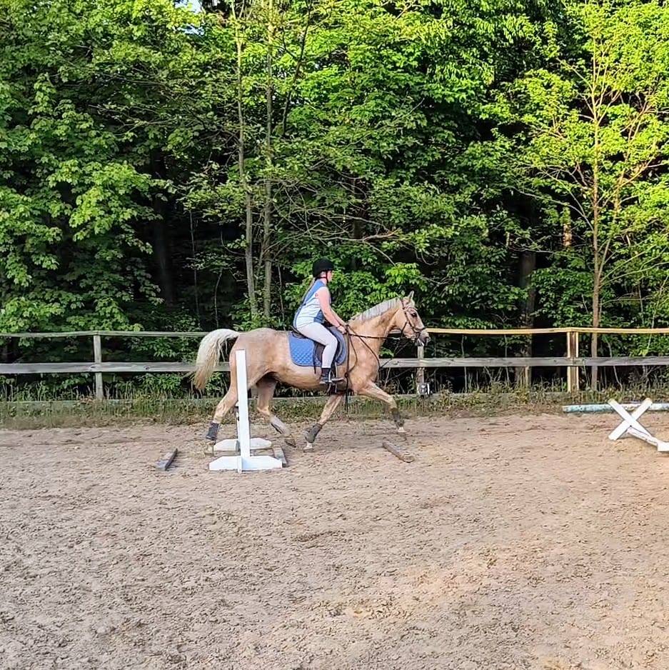 Horseback Riding with Emily... - Horseback Riding with Emily
