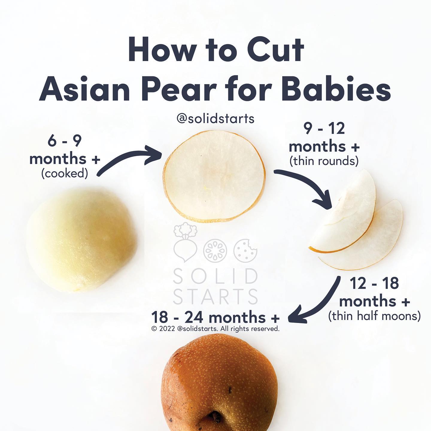Solid Starts - After 12 mos of age, many toddlers are... | Facebook