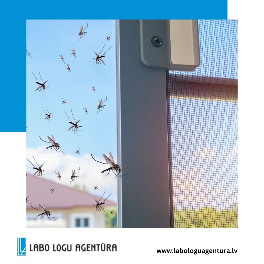 Labo Logu Aģentūra | Riga