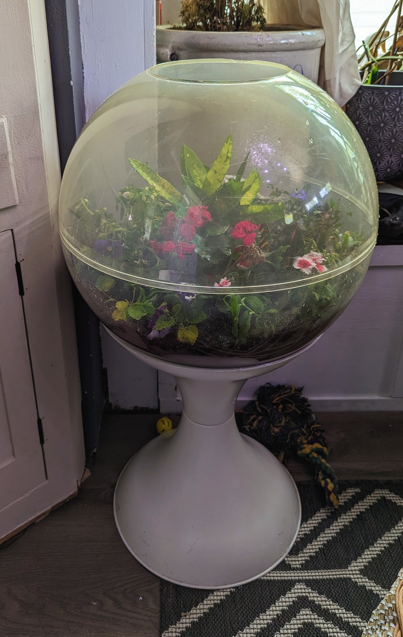 Vintage 1970s Space Age Terrarium Find on Facebook Marketplace